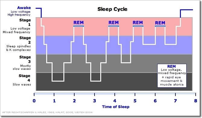 睡眠分期示意图（R&amp;K 标准）
